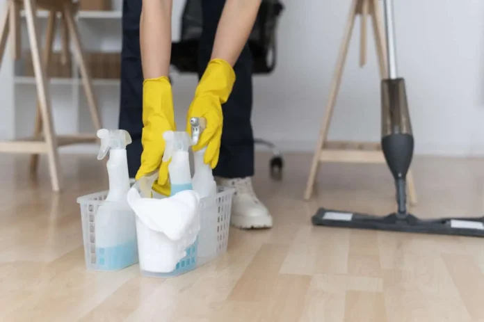Professional Home Cleaning