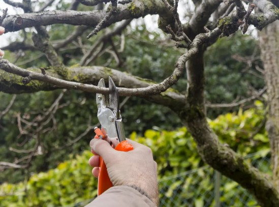 Boozers Property Development Boozers Property Development